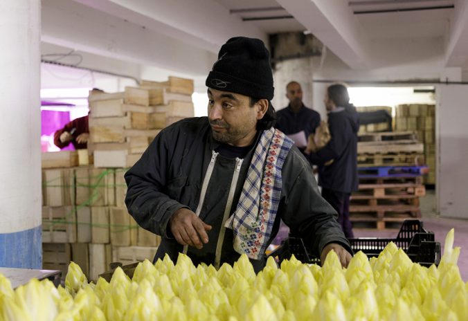 Agriculture urbaine. Il y a de la vie dans les entrailles de nos villes.Coup de projecteur sur la start-up française Cycloponics qui transforme des souterrains abandonnés à Paris et Strasbourg en fermes urbaines.