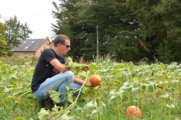 Agriculture urbaine. Révolution verte. Perma G’Rennes est une micro-ferme intensive qui développe un mode de production alliant économie, biodiversité et partage de savoir-faire à Rennes. Visite par Mickaël Hardy. © Alexandre Roger/le Bimsa