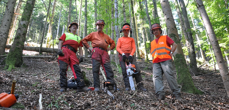 « Tué par un arbre », « Un débardeur meurt en forêt », « Décès d’un forestier », « Mort d’un bûcheron ». Patrick Bangert, élu de la MSA d’Alsace et de la caisse d’assurance accidents agricoles du Haut-Rhin, et bûcheron depuis trente ans, nous a invités dans la forêt vosgienne pour nous faire toucher du doigt la réalité de la vie quotidienne de ces athlètes des bois.© Alexandre Roger/Le Bimsa