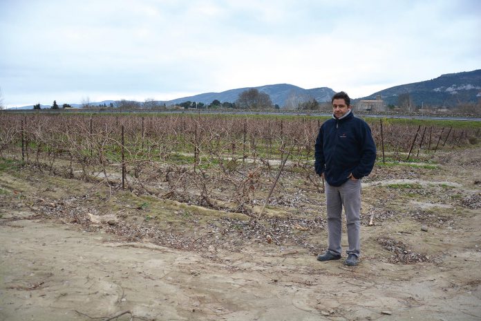 Installé en Gaec depuis 2000, le couple a perdu 2,5 hectares de vignes (sur leurs 30 hectares) situés tous près du fleuve. Seules quelques rangées ont pu être relevées.