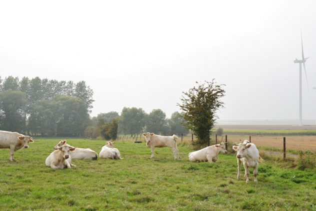 Une famille formidable - L'accueil familial à la ferme (1/2) 3