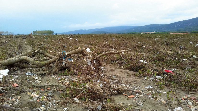 Troncs d'arbre, végétaux, sables, cailloux et déchets en tout genre ont envahis les vignes, charriés par l'eau.