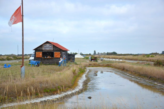 Le marais salant du domaine de No, proche du village vacances.