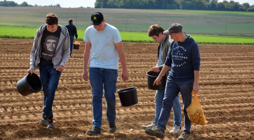 Le lycée agricole Le Robillard a la particularité d’être traversé par le méridien de Greenwich. Ce n’est pas pour autant que les futurs professionnels qui s’y forment se prennent pour le centre du monde et n’ont pas le souci d’aider ceux qui ont moins qu’eux. Le mercredi 11 septembre, sous le soleil normand, armés de simples seaux et de leur bonne volonté, des étudiants en BTS agronomie et productions végétales ont retroussé leurs manches pour une journée de glanage solidaire au profit de la Croix-Rouge française. Nous y étions. Journée du don agricole. Solaal.