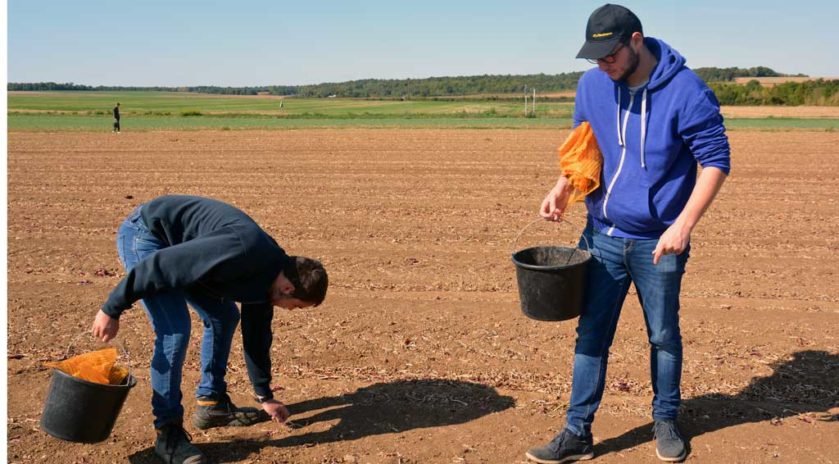 Le lycée agricole Le Robillard a la particularité d’être traversé par le méridien de Greenwich. Ce n’est pas pour autant que les futurs professionnels qui s’y forment se prennent pour le centre du monde et n’ont pas le souci d’aider ceux qui ont moins qu’eux. Le mercredi 11 septembre, sous le soleil normand, armés de simples seaux et de leur bonne volonté, des étudiants en BTS agronomie et productions végétales ont retroussé leurs manches pour une journée de glanage solidaire au profit de la Croix-Rouge française. Nous y étions. Journée du don agricole. Solaal.