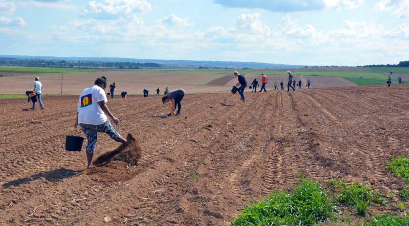 Le lycée agricole Le Robillard a la particularité d’être traversé par le méridien de Greenwich. Ce n’est pas pour autant que les futurs professionnels qui s’y forment se prennent pour le centre du monde et n’ont pas le souci d’aider ceux qui ont moins qu’eux. Le mercredi 11 septembre, sous le soleil normand, armés de simples seaux et de leur bonne volonté, des étudiants en BTS agronomie et productions végétales ont retroussé leurs manches pour une journée de glanage solidaire au profit de la Croix-Rouge française. Nous y étions. Journée du don agricole. Solaal.