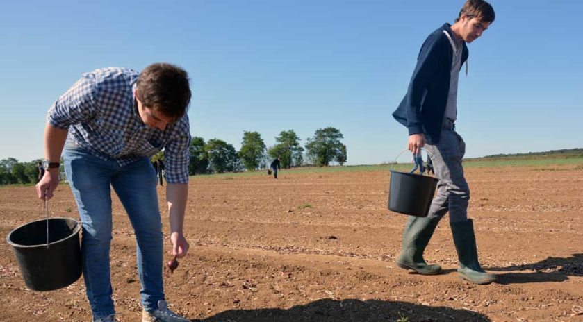 Le lycée agricole Le Robillard a la particularité d’être traversé par le méridien de Greenwich. Ce n’est pas pour autant que les futurs professionnels qui s’y forment se prennent pour le centre du monde et n’ont pas le souci d’aider ceux qui ont moins qu’eux. Le mercredi 11 septembre, sous le soleil normand, armés de simples seaux et de leur bonne volonté, des étudiants en BTS agronomie et productions végétales ont retroussé leurs manches pour une journée de glanage solidaire au profit de la Croix-Rouge française. Nous y étions. Journée du don agricole. Solaal.