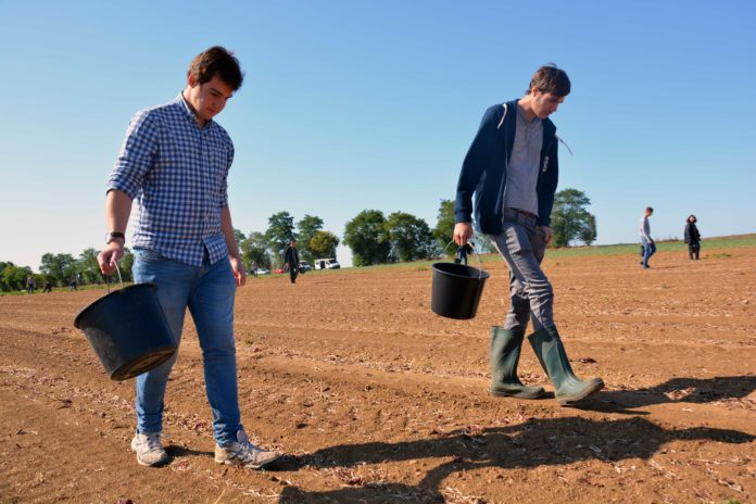 Le lycée agricole Le Robillard a la particularité d’être traversé par le méridien de Greenwich. Ce n’est pas pour autant que les futurs professionnels qui s’y forment se prennent pour le centre du monde et n’ont pas le souci d’aider ceux qui ont moins qu’eux. Le mercredi 11 septembre, sous le soleil normand, armés de simples seaux et de leur bonne volonté, des étudiants en BTS agronomie et productions végétales ont retroussé leurs manches pour une journée de glanage solidaire au profit de la Croix-Rouge française. Nous y étions. Journée du don agricole. Solaal.