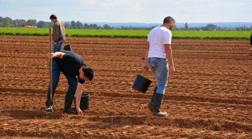 Le lycée agricole Le Robillard a la particularité d’être traversé par le méridien de Greenwich. Ce n’est pas pour autant que les futurs professionnels qui s’y forment se prennent pour le centre du monde et n’ont pas le souci d’aider ceux qui ont moins qu’eux. Le mercredi 11 septembre, sous le soleil normand, armés de simples seaux et de leur bonne volonté, des étudiants en BTS agronomie et productions végétales ont retroussé leurs manches pour une journée de glanage solidaire au profit de la Croix-Rouge française. Nous y étions. Journée du don agricole. Solaal.