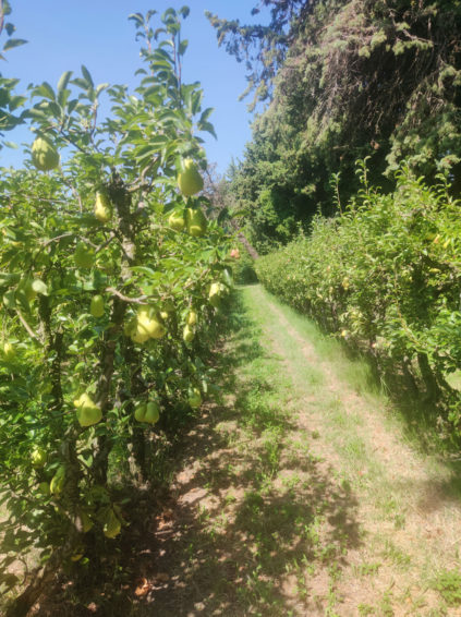 Covid-19. Bouches-du-Rhône
La MSA au cœur du cluster
Près de 300 saisonniers agricoles ont été testés positifs au Covid-19 au mois de juin dans les Bouches-du-Rhône. La plupart ont été recrutés par une société d’intérim espagnole spécialisée dans le travail détaché en agriculture. Dans cette course contre la montre contre le virus, la souplesse de l’organisation et la précieuse connaissance du terrain ont permis aux équipes de la MSA Provence Azur de faire la différence.

#Accompagnement #Coronavirus #Saisonniers