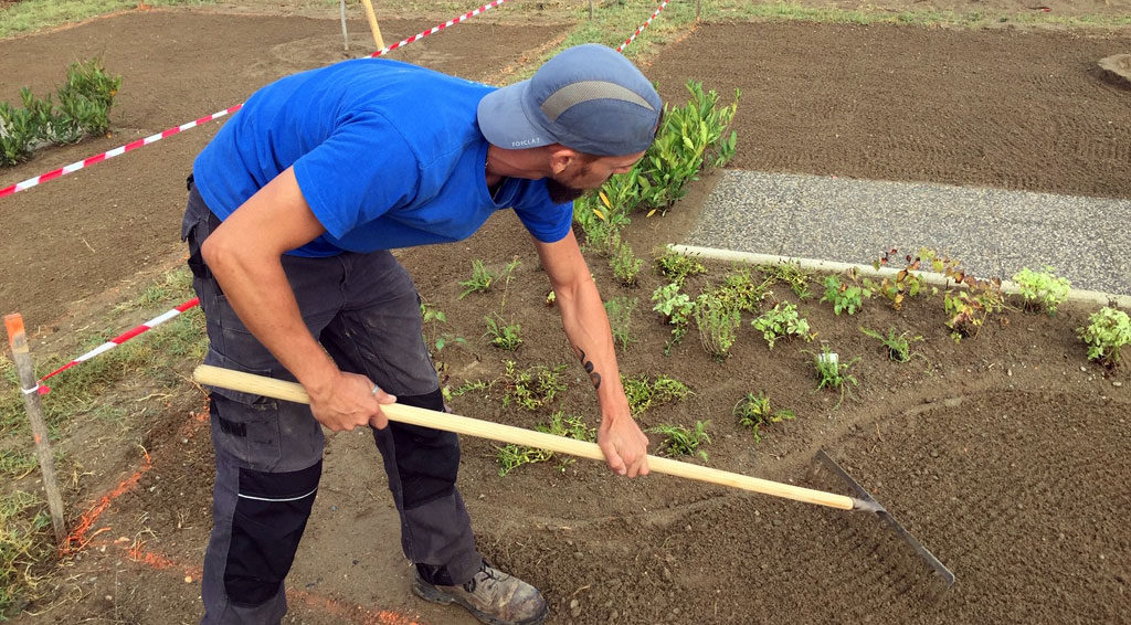 Prévention des TMS La méthode du Dr-Masson
Dans une entreprise de jardins et espaces verts, les visites médicales réalisées auprès d’un médecin du travail de la MSA Midi-Pyrénées Sud ont mis en évidence un besoin d’accompagnement en termes de prévention des troubles musculosquelettiques (TMS). En réponse, un dispositif innovant de prévention collective personnalisée a été proposé aux salariés l’année dernière. Il a permis la création d’un programme d’activités physiques sur mesure. #Santé #Sport #Travail