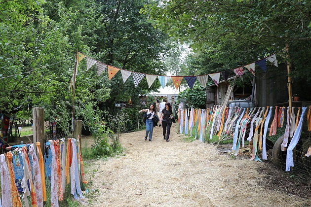 Festival l'arbre bavard Mayenne APJ 3