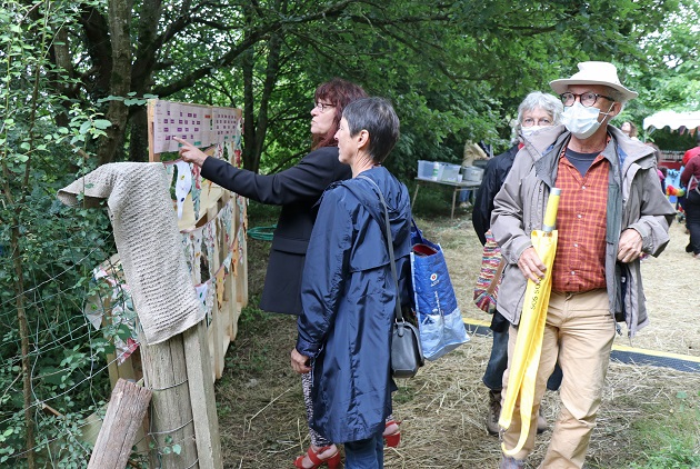 Festival l'arbre bavard Mayenne APJ 8