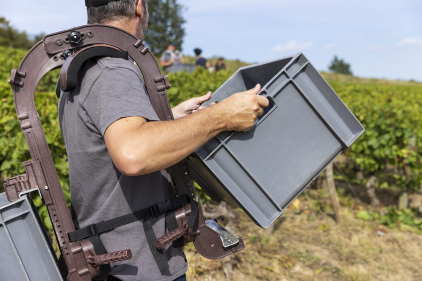 @copyright société SHERPA Un exosquelette pour le viticulteur :