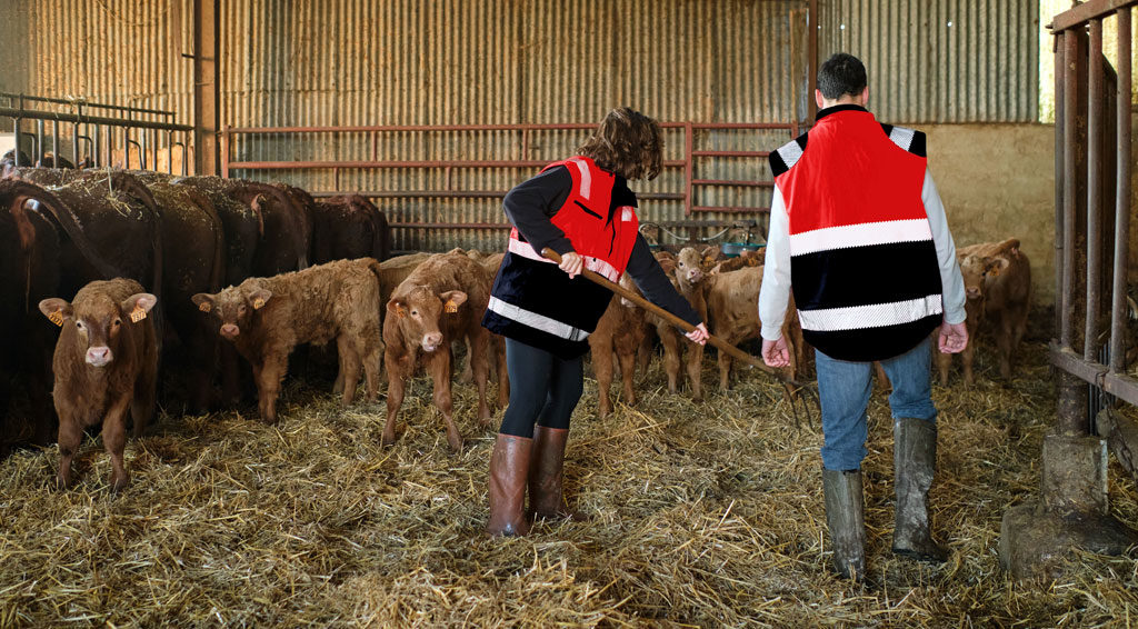 La Cheppe gilet-sans-manche-Sonorco visibilité agriculteur portant gilets visibles dans leur étable