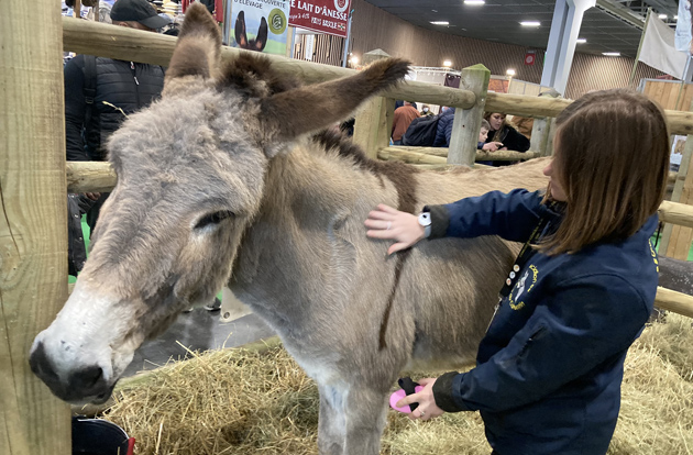 Salon de l'agriculture 2022 - âne du cotentin