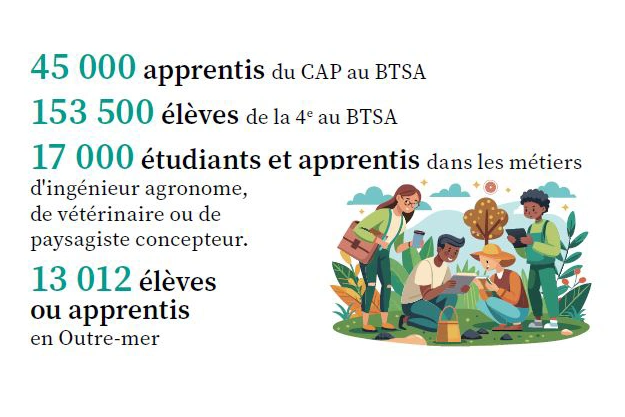 153 500 élèves de la 4e au BTSA, 45 000 apprentis du CAPa au BTSA, 17 000 étudiants et apprentis dans les métiers d'ingénieur agronome, de vétérinaire ou de paysagiste-concepteur.