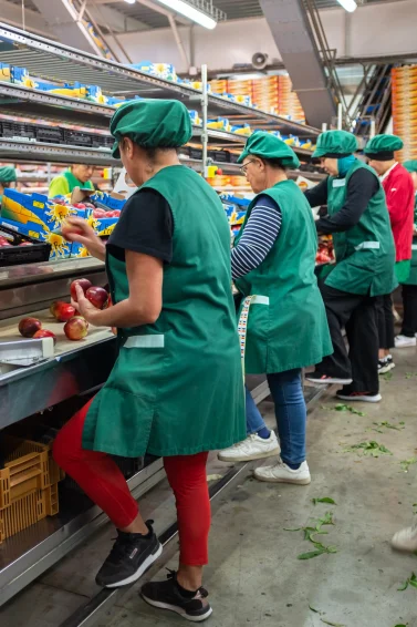 Réart Perpignan sante travail prévention nectarines agriculture tms ergonomie