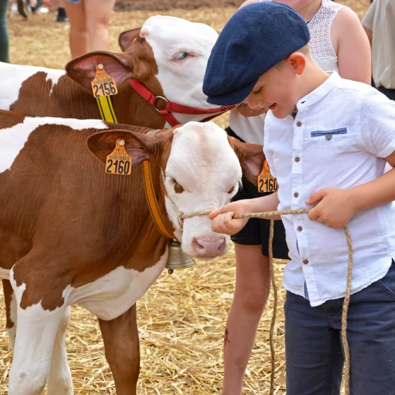 Terres de Jim agriculteurs Doubs enfant veau éléveur