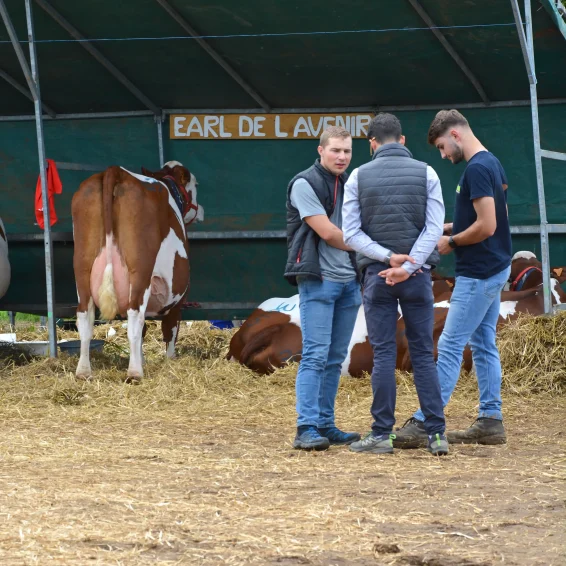 Terres de Jim agriculteurs Doubs jeunesse élevage comice