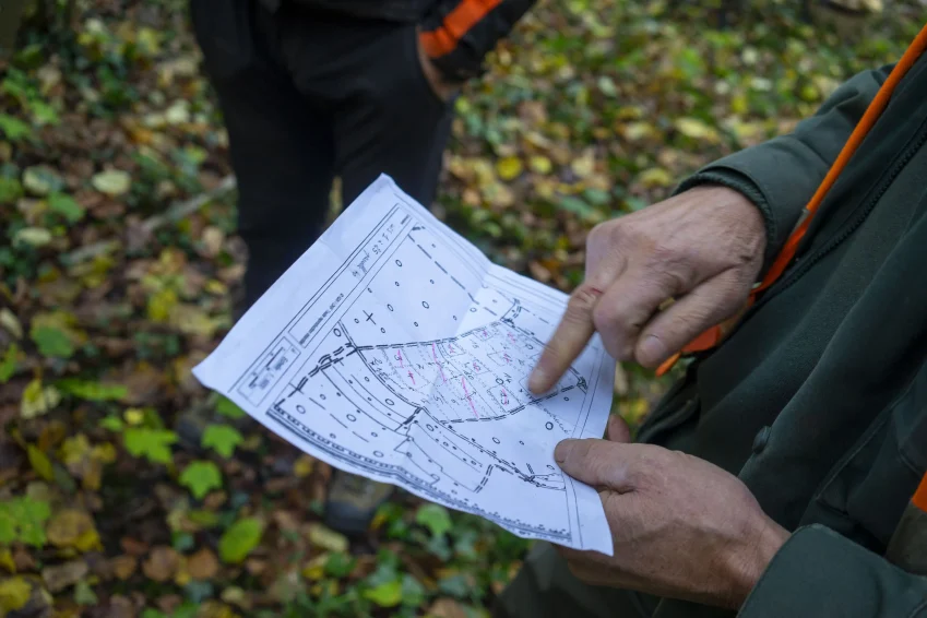 L'agent ONF indiquent aux bûcherons les arbres qu'ils doivent couper.