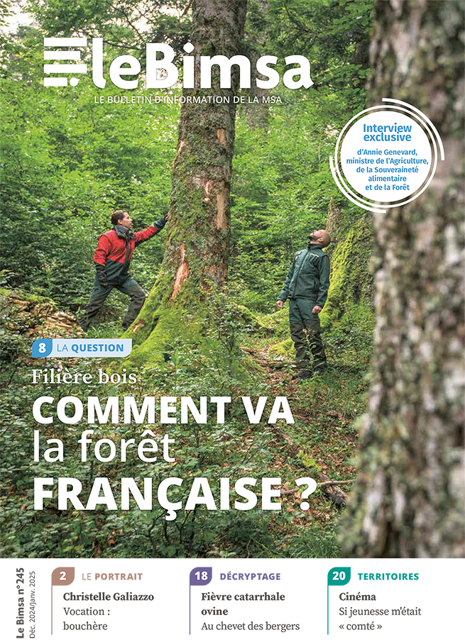 Bimsa 245 dossier forêt