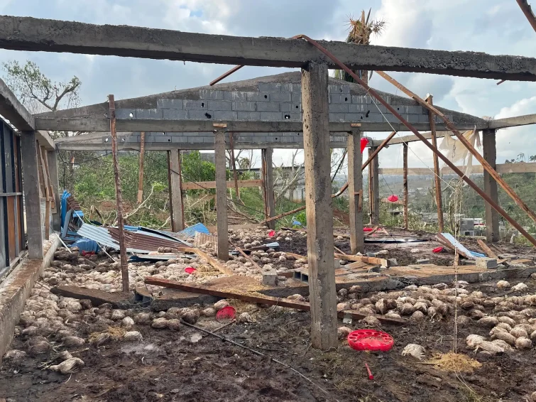 Mayotte agriculture cyclone chido dégâts poulailler poulets Ouangani