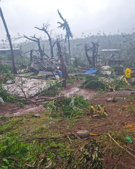 Mayotte agriculture dégâts cyclone chido