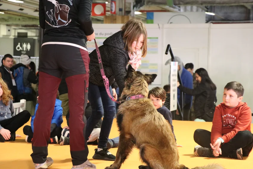 Chiens et enfants : les bons gestes