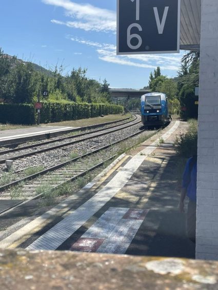 Cette gare qui dessert le TER Auvergne-Rhône-Alpes de la ligne 9, un train qui fait des allers-retours entre Saint-Étienne et Le Puy-en-Velay, est le seul moyen de transport disponible dans la zone.