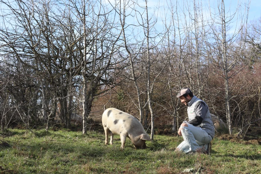 Eleveur bio Drôme Soyans Jordan Magnet