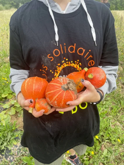 Redonner du sens à la terre : ici, les légumes cultivés iront directement à ceux qui en ont besoin.