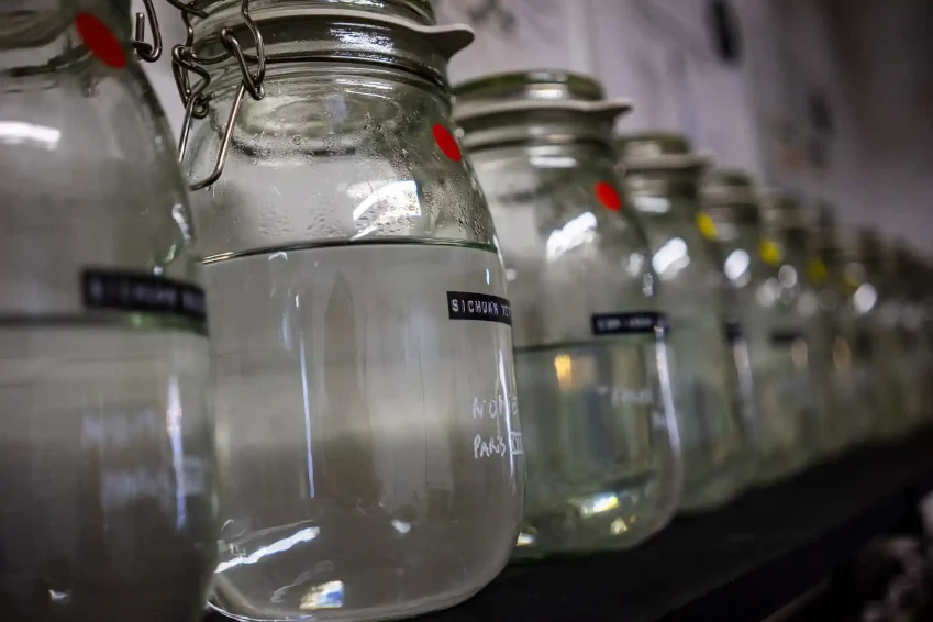 Gin et distillation