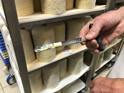 Dans la salle d’affinage, les précieux 3morceaux de bleu et de fourme sont observés chaque jour.