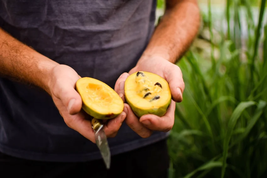 Pépins perdus fruits exotiques Carbonne