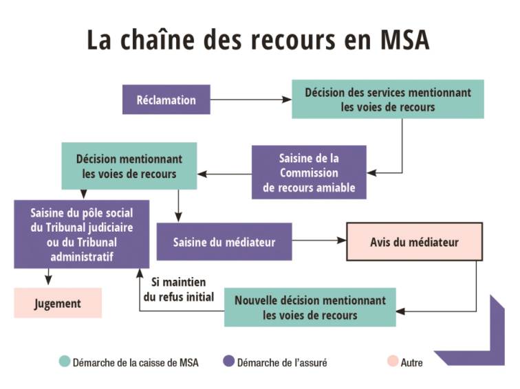 25 ans, médiation, MSA