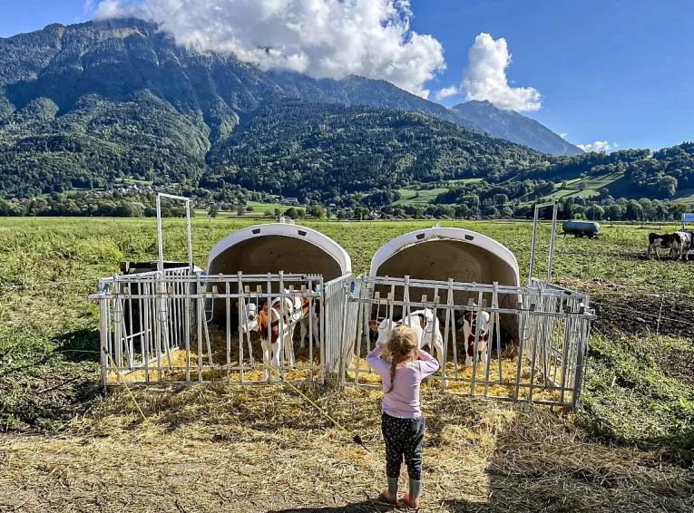 DNC solidarité Veaux Nicolas Prud'homme