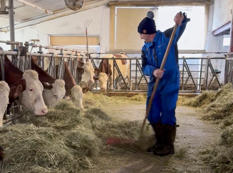 Nicolas Prud'homme DNC dermatose nodulaire bovins savoie agriculteurs foin