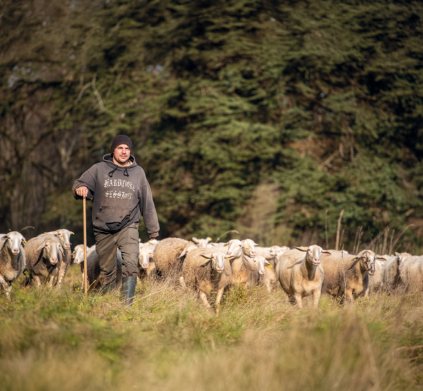 « Exercer le métier d’éleveur fait partie de ma vie, confie MaNTis. Le fait de continuer à m’occuper de mon troupeau maintient en moi, une joie de vivre. » Copyright : DR.