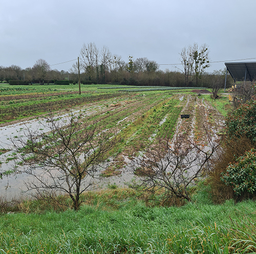 Les pluies ont retardé le lancement des cultures. Pour Maxime Violleau qui vend en circuit court ses produits, cela signifie une perte de clientèle.