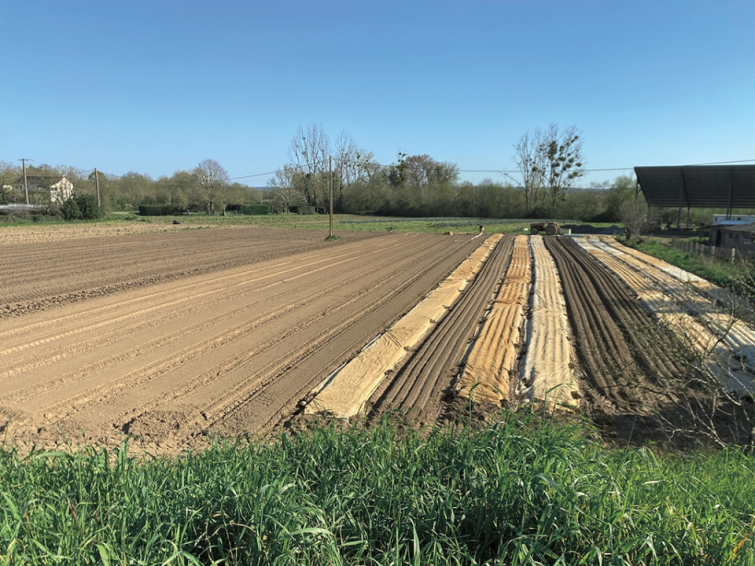 Le Gaec Violleau est localisé à Ingrandes-le-Fresne-sur-Loire (Mauges-sur-Loire), étalé le long de la rive droite de la Loire. La départementale 210 le sépare du fleuve. Lorsqu’il déborde, l’eau migre par en dessous et remonte dans les terres. Les parcelles à cet endroit sont confrontées habituellement aux crues.
