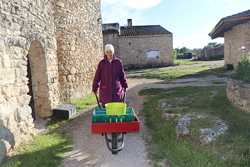 Odile est bénévole avec son mari Jacques depuis janvier 2015. « Ce sont les personnes accueillies qui font marcher l'économie du hameau. Ils sont responsables de tous les différents chantiers, accompagnés par l'équipe d'accompagnement, composée par les bénévoles et les salariés. »
