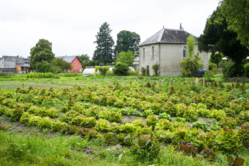 insertion et ruralité, la Souterraine, Creuse, pension de famille