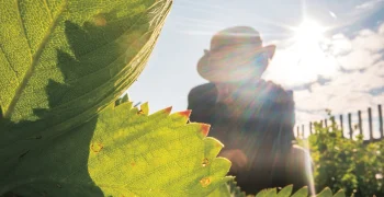 soleil UV farmer garden farm prévention travail