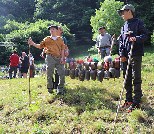 Peu avant les granges de Crouhens, s’improvise une pause dans la prairie de Ferrère. Les bergers rassemblent les troupeaux et leur retirent les cloches de route si bruyantes. Une ou deux plus petites et légères ont été laissées sur les moutons de chaque élevage. L’idée est de monter dans les estives dans la sérénité. Chaque bête porte les initiales de son éleveur ou éleveuses et celles du Groupement de La Courbe : GC.